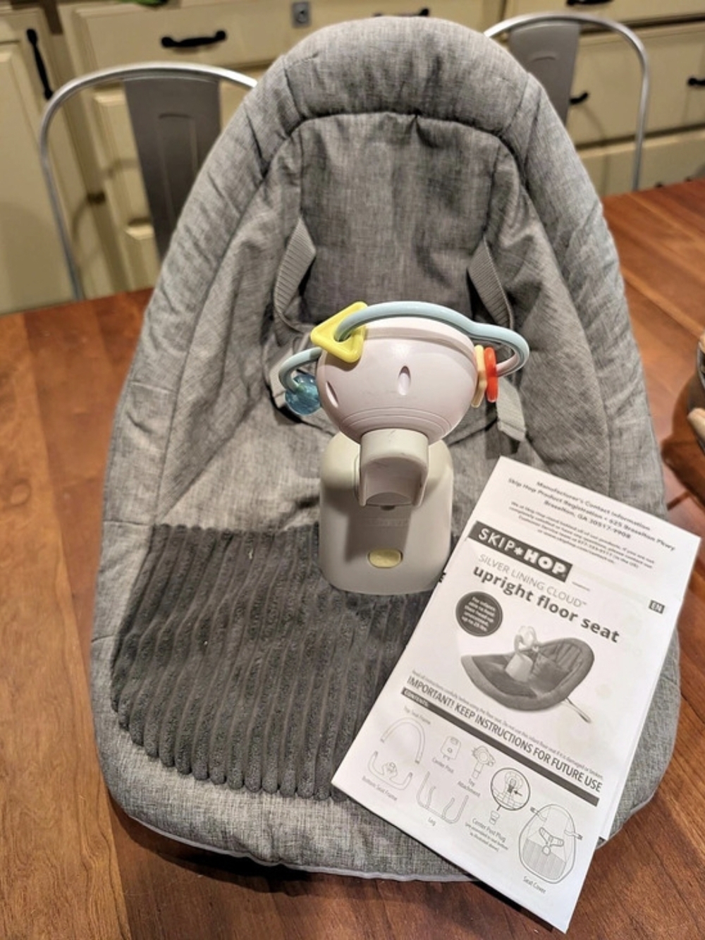 Skip Hop Baby infant Upright Chair